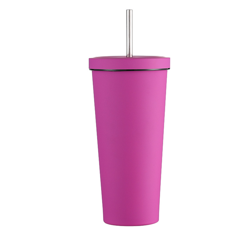 750ml Insulated Straw Mug