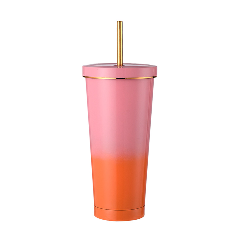 750ml Insulated Straw Mug