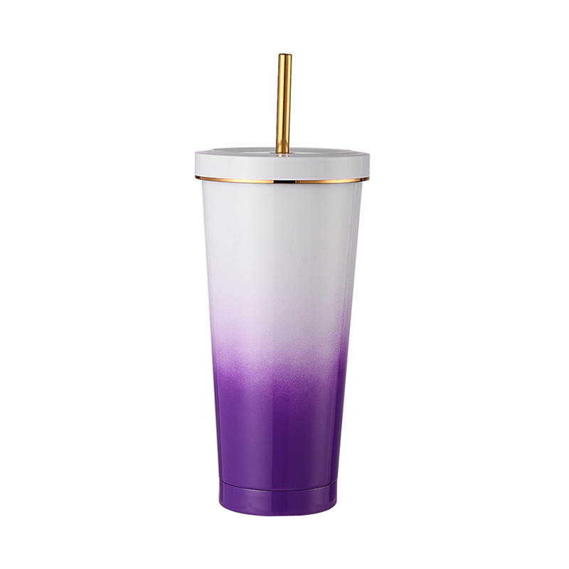 750ml Insulated Straw Mug