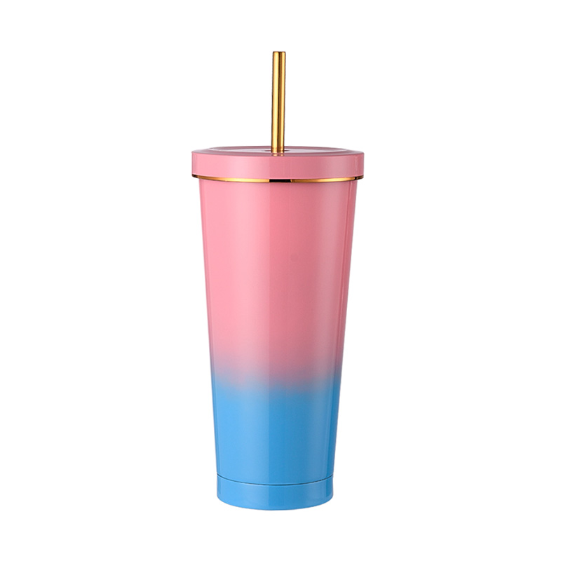 750ml Insulated Straw Mug