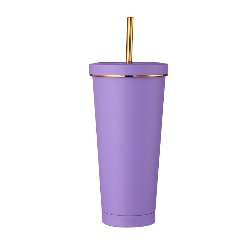 500ml Insulated Straw Mug