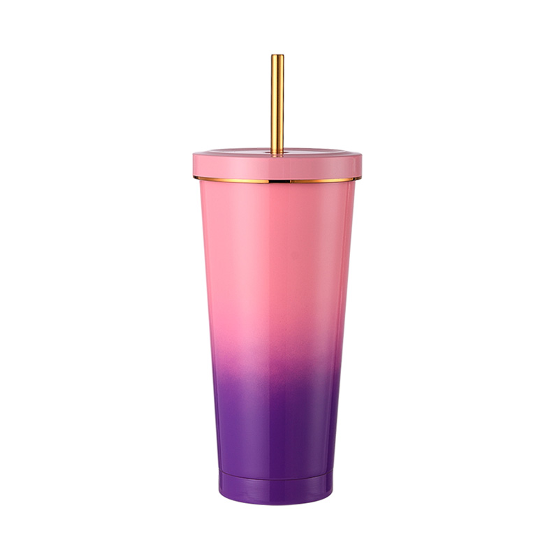 750ml Insulated Straw Mug