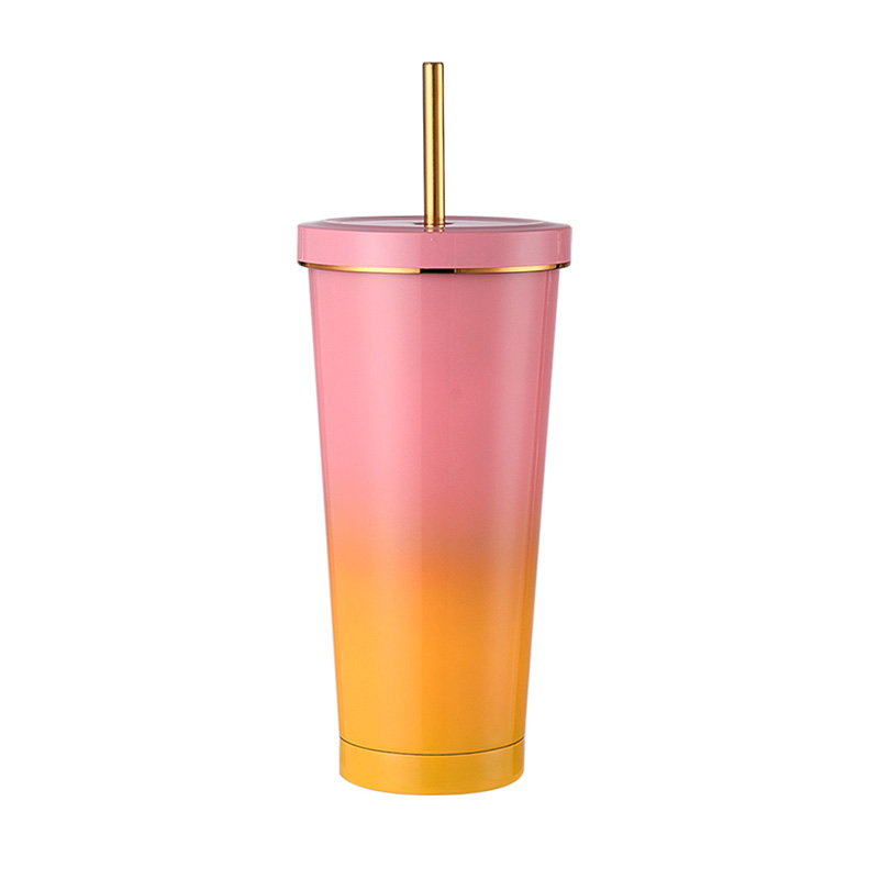 750ml Insulated Straw Mug