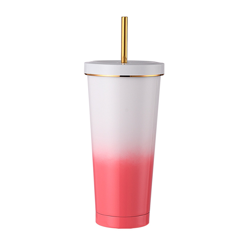 750ml Insulated Straw Mug