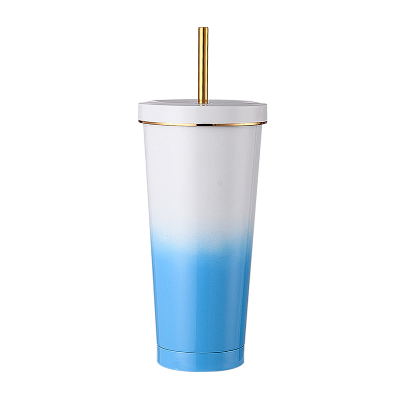 750ml Insulated Straw Mug