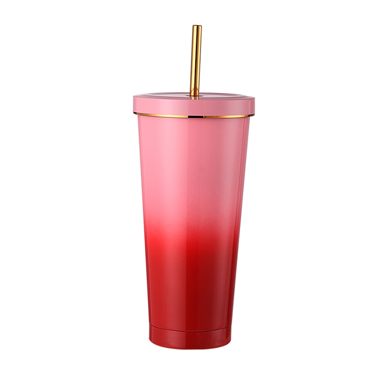 750ml Insulated Straw Mug