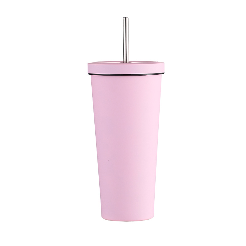 750ml Insulated Straw Mug