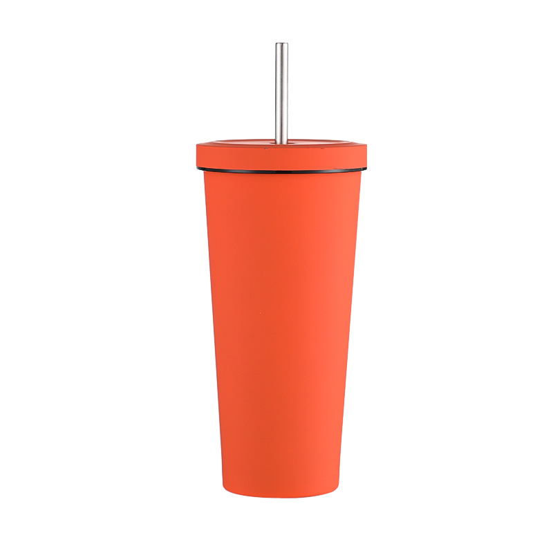 750ml Insulated Straw Mug